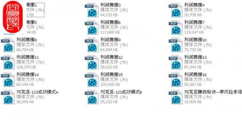 劉克亞《利潤騰挪》全集+精品絕密精品資料