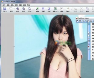 Faststone Capture v7.6L(dng)W(wng)ȡɫȫɽ؈D0