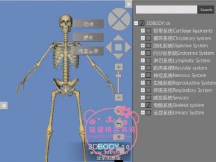 3Dbody2.0/ȫSwģ/3DtWܛİ/tWۺ0
