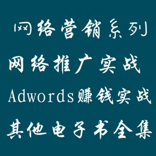 ͨȫ seo̳ WjIN google adwordsPϵеȺϼ0