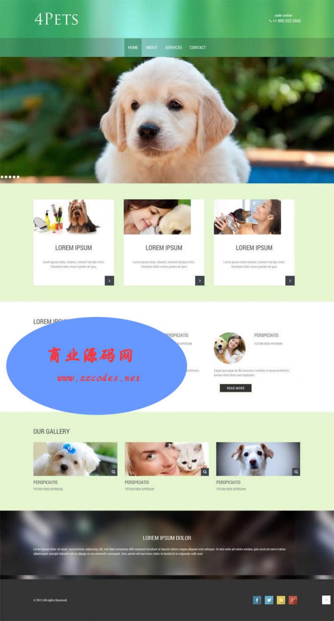 Html5網頁模板 div+css3寵物網站模板 手機電腦站自適應 靜態模板