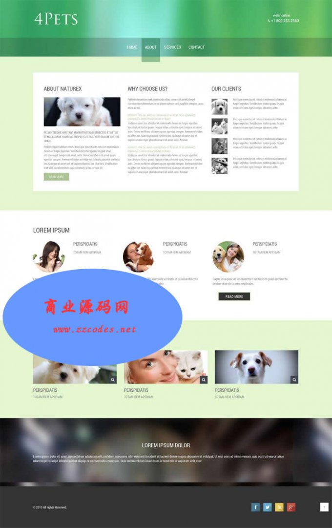 Html5網頁模板 div+css3寵物網站模板 手機電腦站自適應 靜態模板