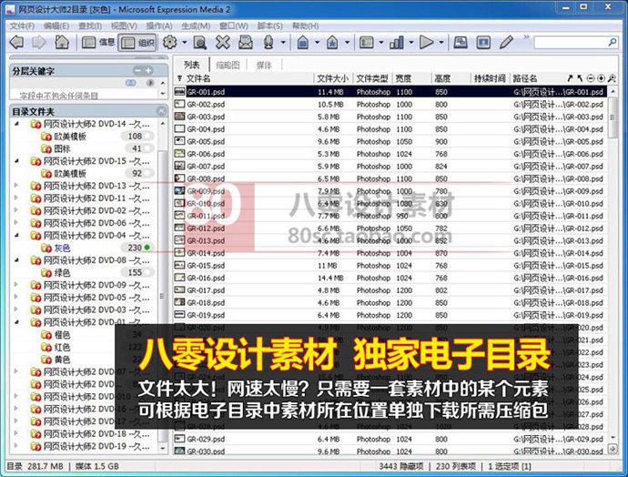 網頁設計大師2 PSD分層源文件歐美網站模板FLASH HTML模版素材