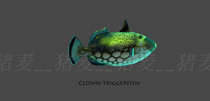 Unity 3D模型 人物角色水下動物資源包淡水魚、海底魚超100種