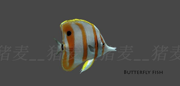 Unity 3D模型 人物角色水下動物資源包淡水魚、海底魚超100種