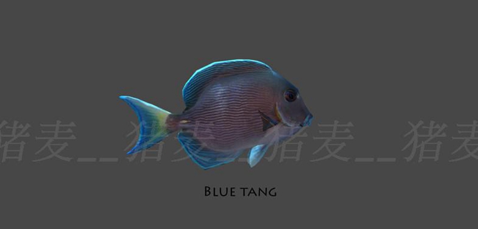 Unity 3D模型 人物角色水下動物資源包淡水魚、海底魚超100種