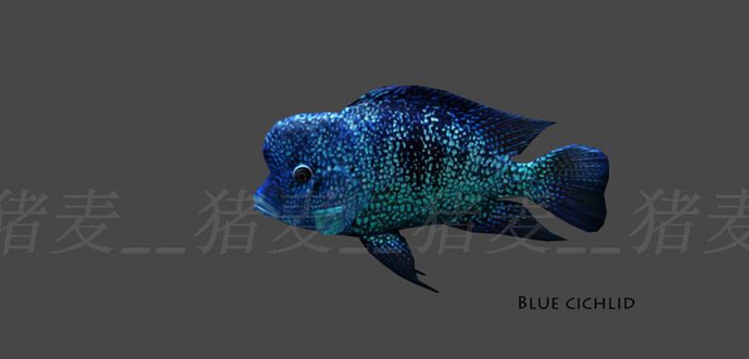 Unity 3D模型 人物角色水下動物資源包淡水魚、海底魚超100種