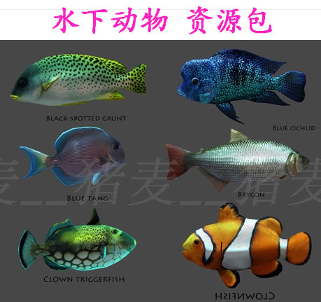 Unity 3D模型 人物角色水下動物資源包淡水魚、海底魚超100種