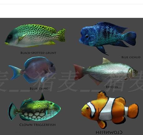 Unity 3D模型 人物角色水下動物資源包淡水魚、海底魚超100種