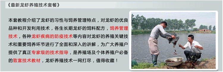 小龍蝦養殖飼養新技術大全/DVD/VCD/視頻光盤光碟教程教材資料