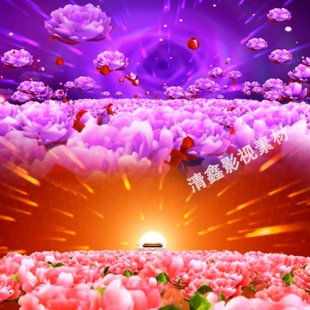 LEDĻҕlز  _ _ݳ 屳/YӑB1