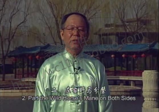孫楊陳氏24式太極拳自學視頻教程37套完整視頻全集教程