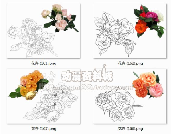 植物花卉草樹木線稿+上色素材 植物插畫繪畫勾線手稿線描稿