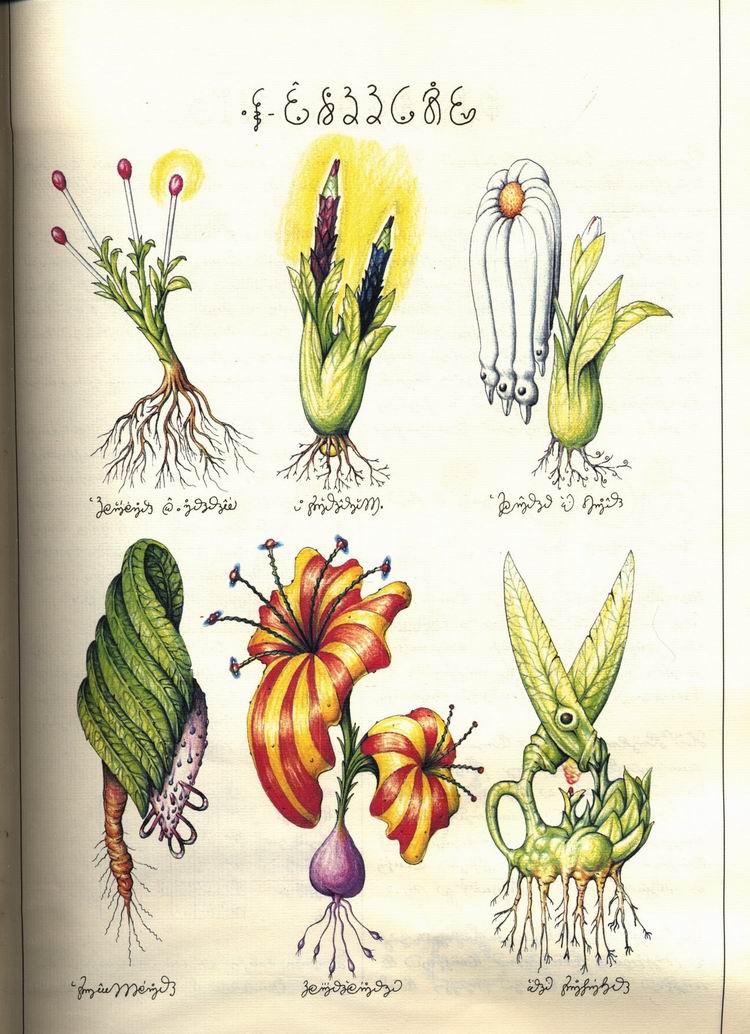 L宋 ᳭ Codex Seraphinianus ز