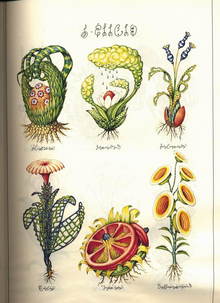 L宋 ᳭ Codex Seraphinianus ز