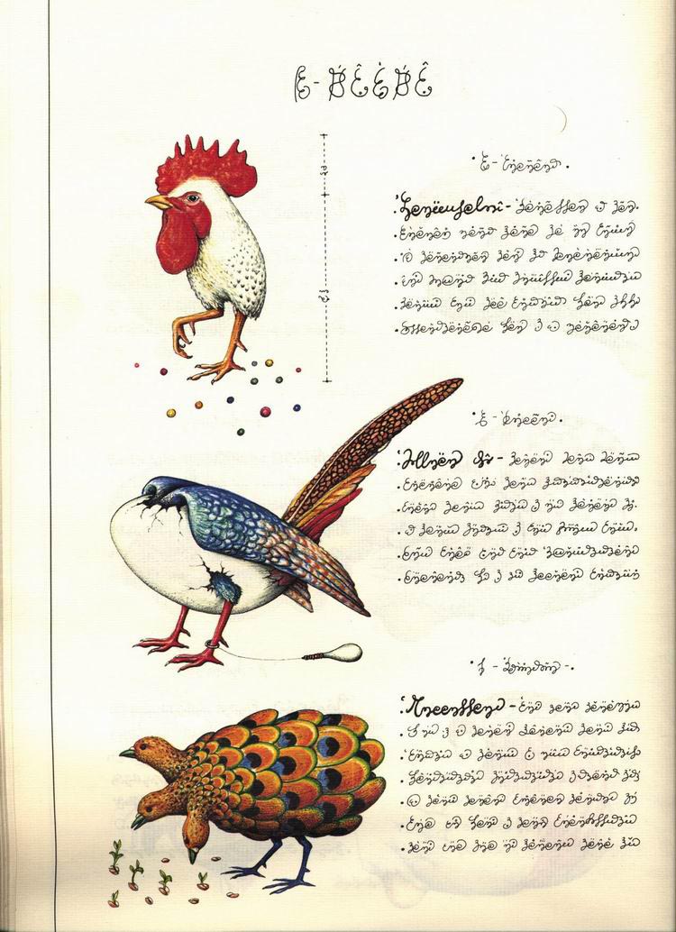 L宋 ᳭ Codex Seraphinianus ز
