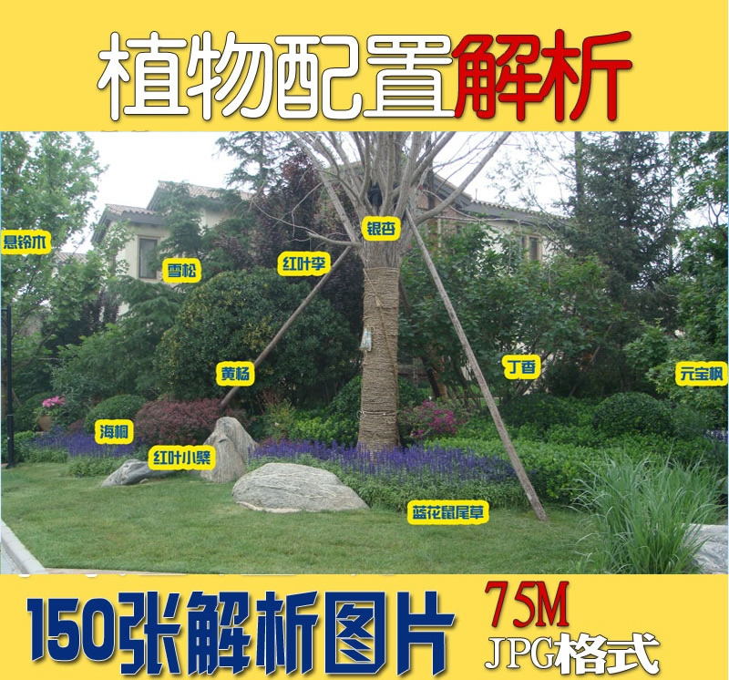 2015 ֲý ^@ַNֲҎ(gu)O(sh)Ӌ(j)زYό(sh)Ƭ