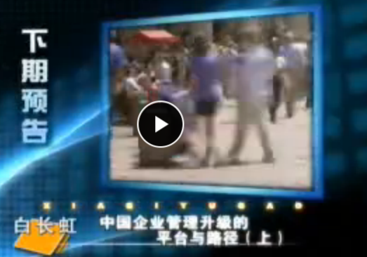 白長虹 中國企業管理升級的平臺與路徑