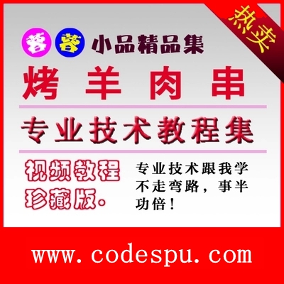 正宗新疆烤羊肉串/碳烤食品調(diào)料配方特色小吃/羊肉串燒烤技術(shù)資料