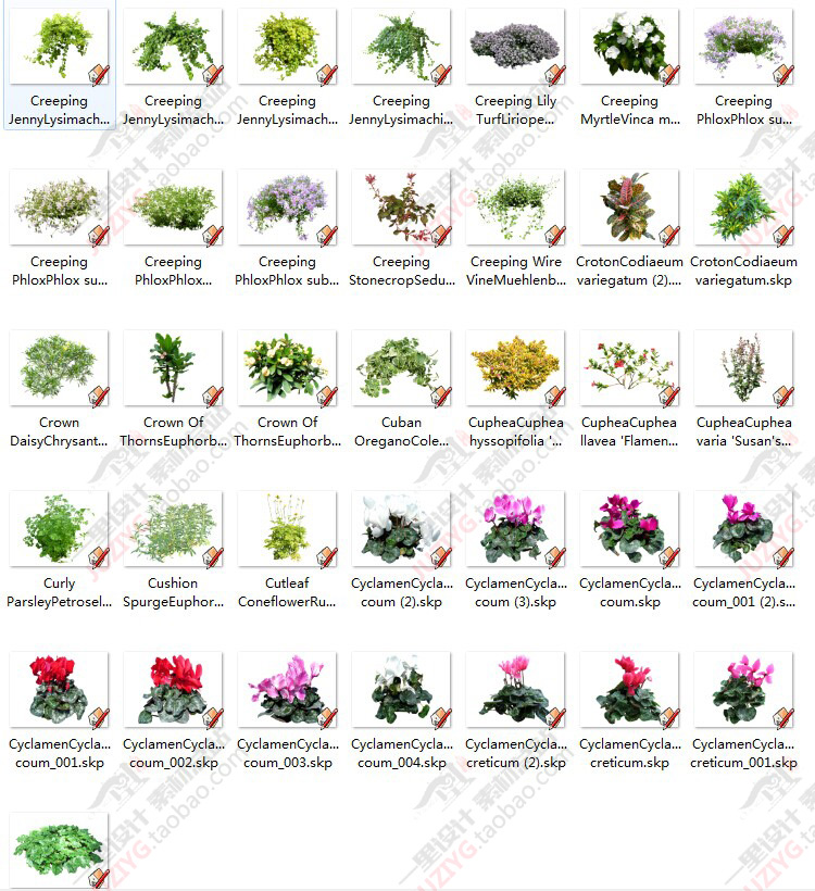 草圖大師SU園林景觀人植物手繪平面sketchup組件/模型庫2D/3D素材