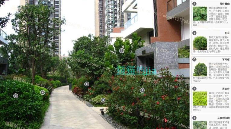 精選150張植物配置分析實景參考圖 園林景觀植物解析設計素材