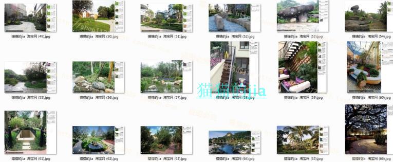 精選150張植物配置分析實景參考圖 園林景觀植物解析設計素材