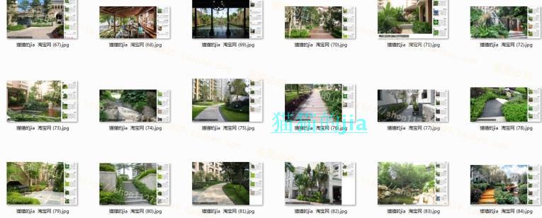精選150張植物配置分析實景參考圖 園林景觀植物解析設計素材