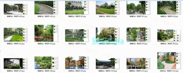 精選150張植物配置分析實景參考圖 園林景觀植物解析設計素材
