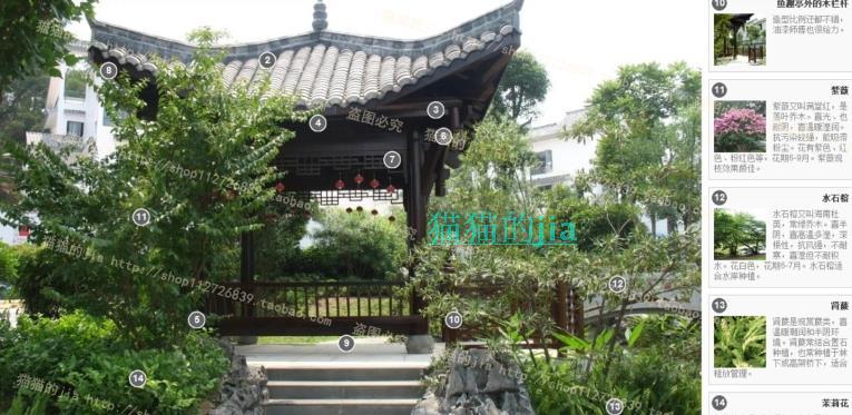 精選150張植物配置分析實景參考圖 園林景觀植物解析設計素材