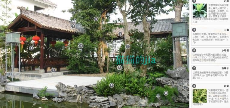 精選150張植物配置分析實景參考圖 園林景觀植物解析設計素材