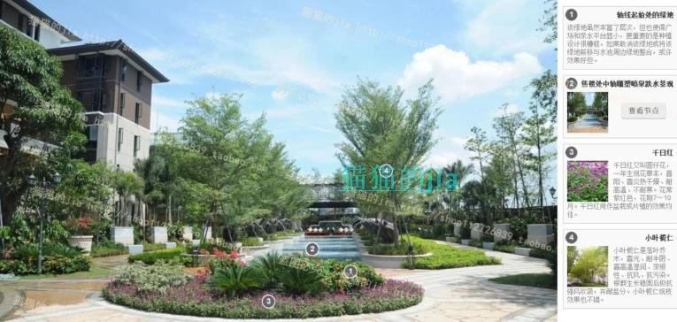 精選150張植物配置分析實景參考圖 園林景觀植物解析設計素材