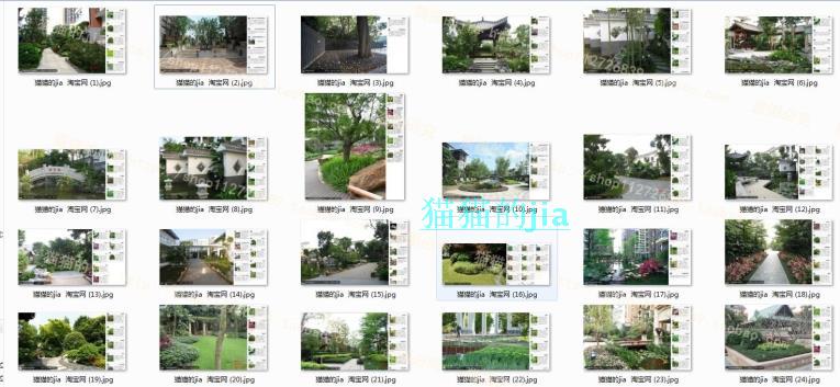 精選150張植物配置分析實景參考圖 園林景觀植物解析設計素材