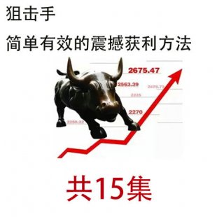 股票狙擊手 簡單有效的震撼獲利方法 (共15集) 送配套資料 配圖