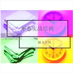 賀偉 形態(tài)實戰(zhàn)培訓 5集課程 股票/炒股培訓教程