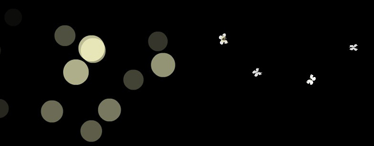 flash(dng)B(ti)͸(dng)زĎ (hu)(hu)Ӱbswfʽģ123