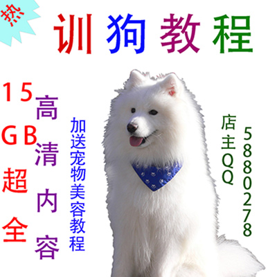 2015Ӗҕl̳ ӖȮ̳Ӗ̳ҕl AT̳0
