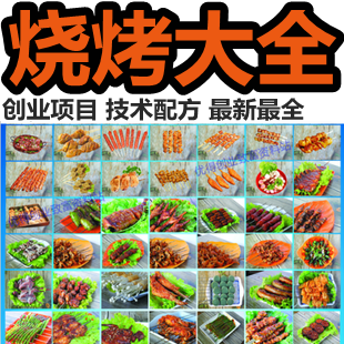 特色燒烤 腌制獨(dú)家秘方 創(chuàng)業(yè)資料 小吃配方技術(shù)大全 烤牛羊豬魚(yú)肉