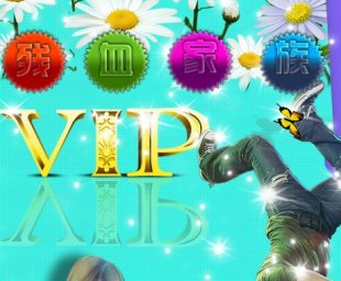 2013ѪVIP̳1