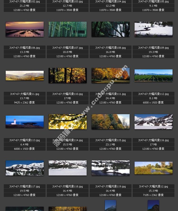 屳DƬPSƽOӋȫzӰزĈDbӰL