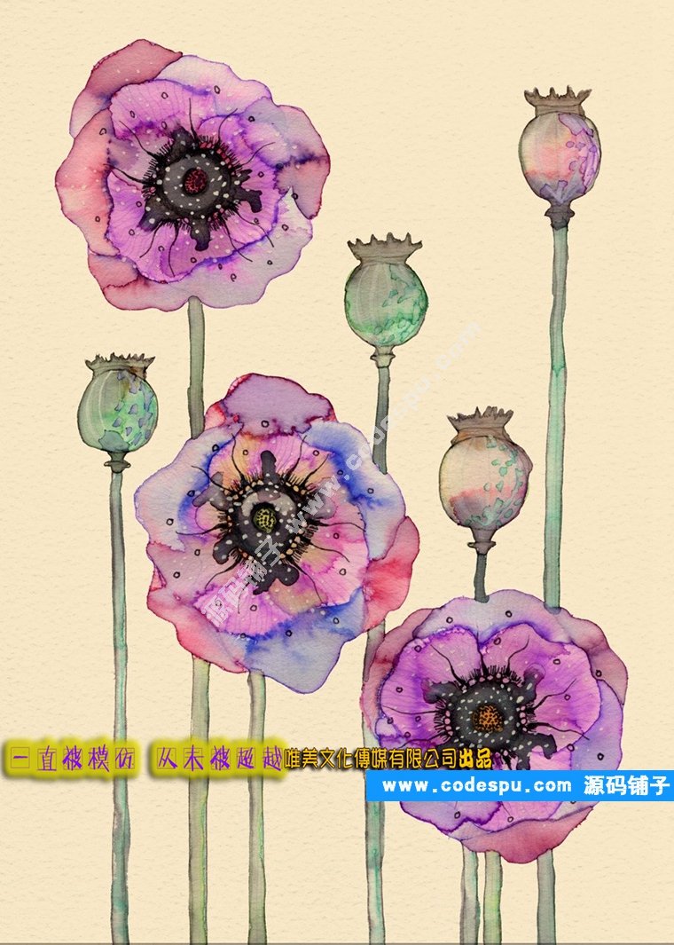 Ψ󎟼L Сˮʇز Bx宋RġD