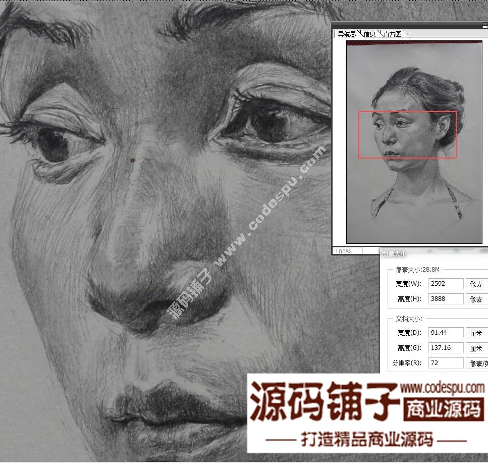 素描頭像臨摹畫室收集經典 朱傳奇素描作品高清大圖片57幅