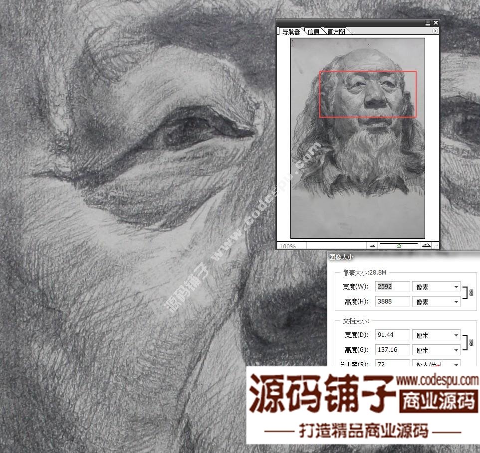 素描頭像臨摹畫室收集經典 朱傳奇素描作品高清大圖片57幅