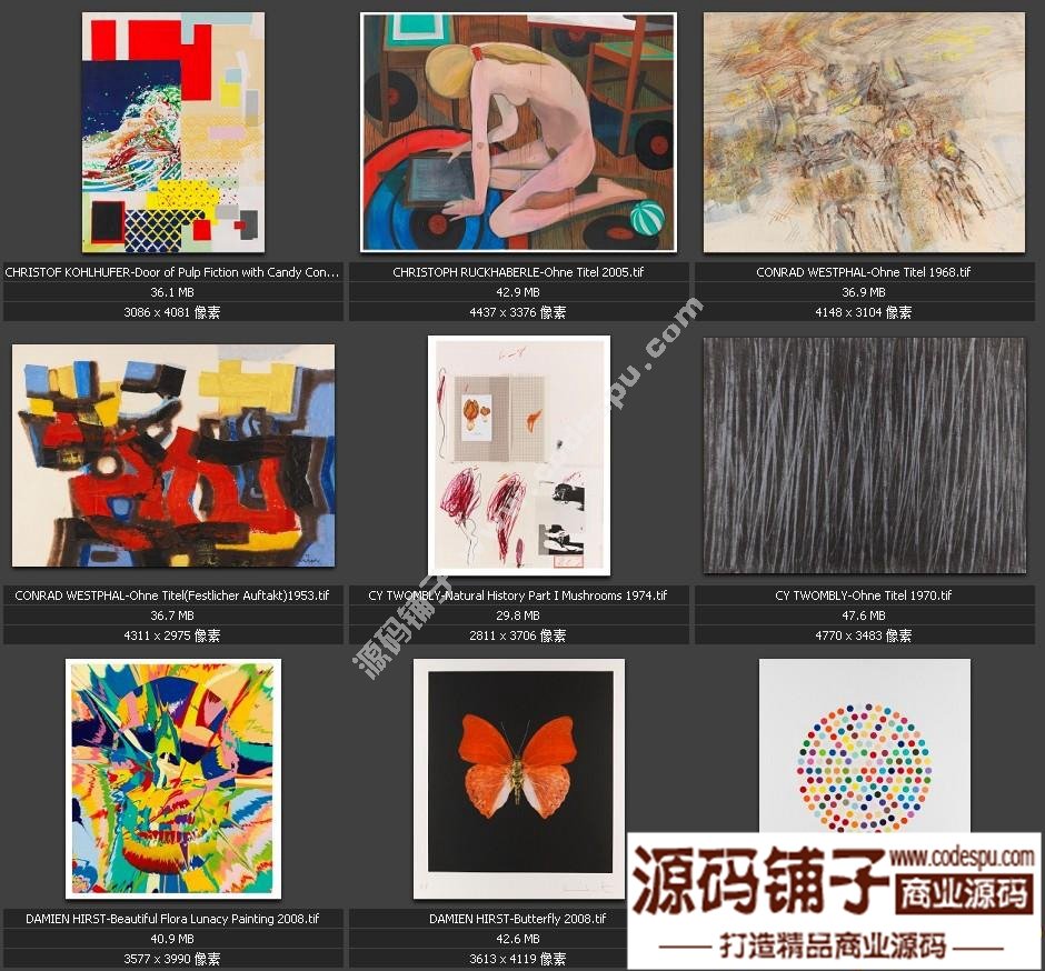 獨(dú)家素材 歐美頂尖藝術(shù)抽象繪畫最全高清圖集 微噴 裝飾畫專用