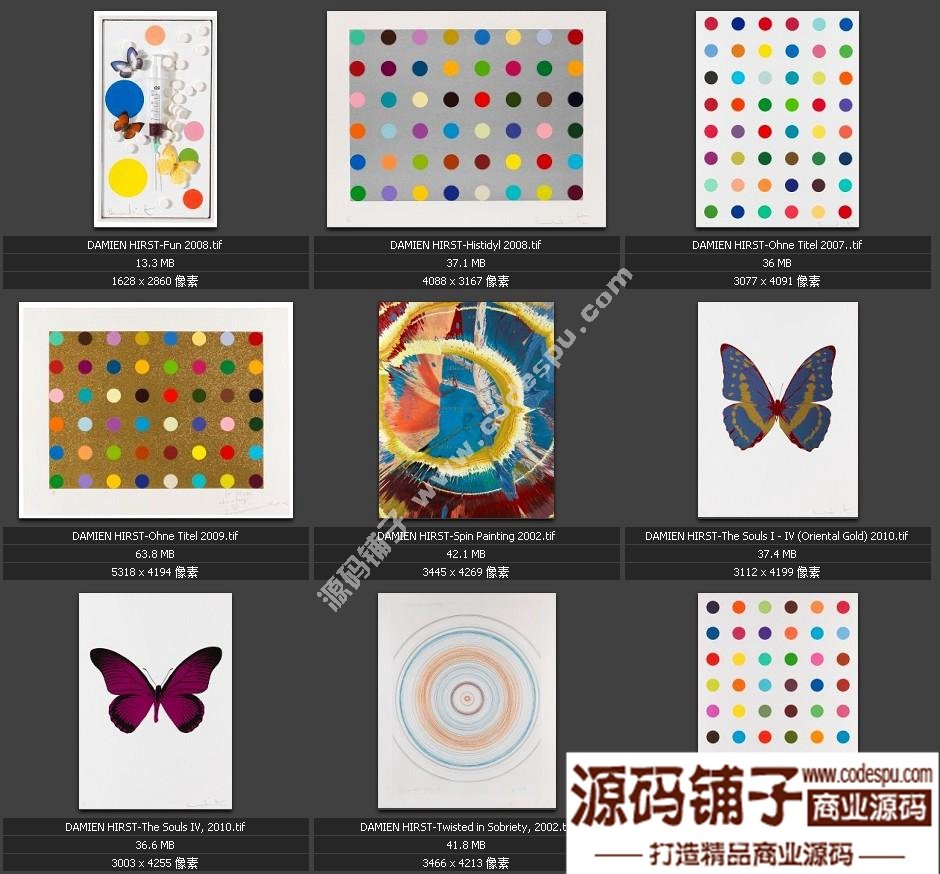 獨(dú)家素材 歐美頂尖藝術(shù)抽象繪畫最全高清圖集 微噴 裝飾畫專用