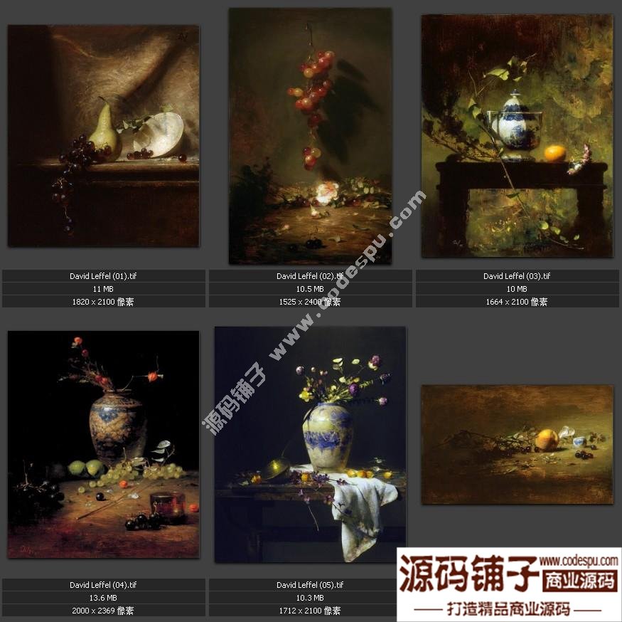 戴維.萊費爾 DAVID LEFFEL 油畫人物 靜物作品高清電子圖片19幅