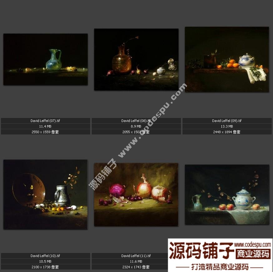 戴維.萊費爾 DAVID LEFFEL 油畫人物 靜物作品高清電子圖片19幅