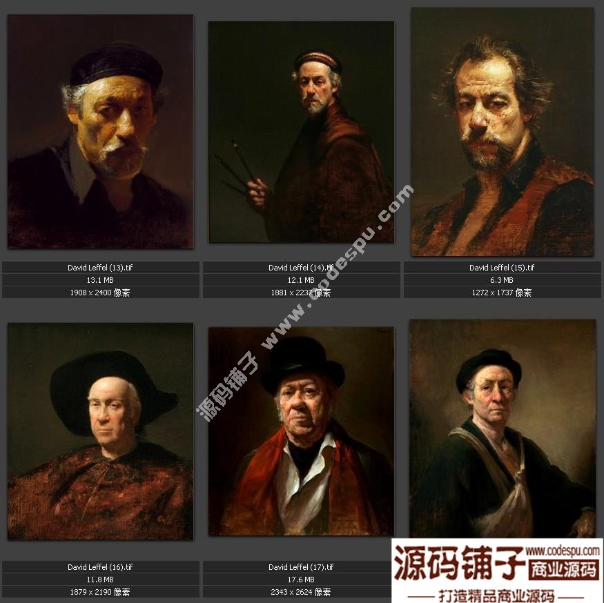 戴維.萊費爾 DAVID LEFFEL 油畫人物 靜物作品高清電子圖片19幅