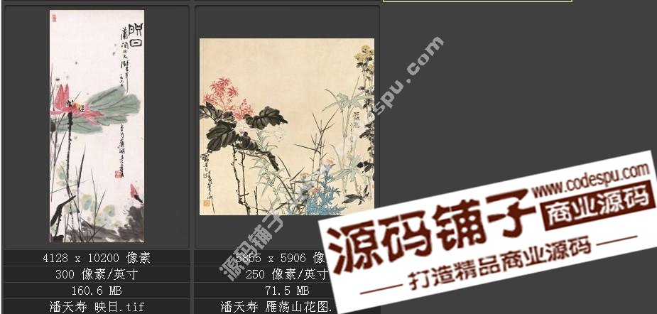 高清國畫 潘天壽作品選 素材 圖片 名畫 水墨設計素材8幅