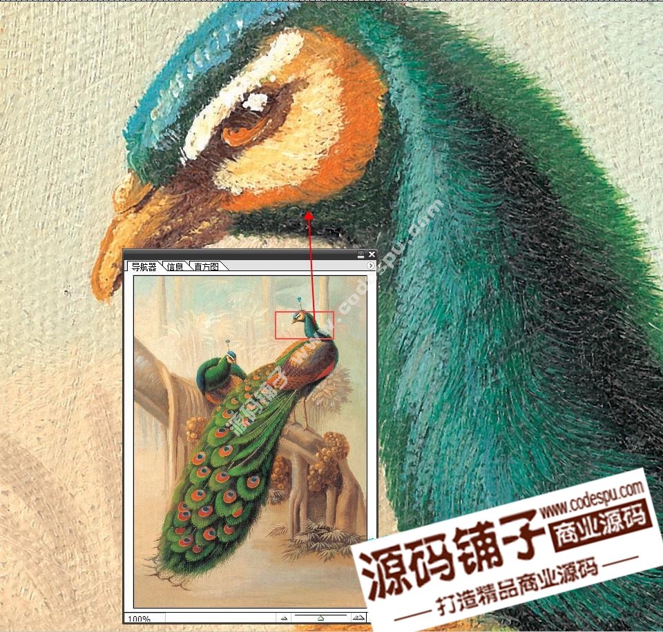 ͮȸDb΢ز ЮbôӡDƬ