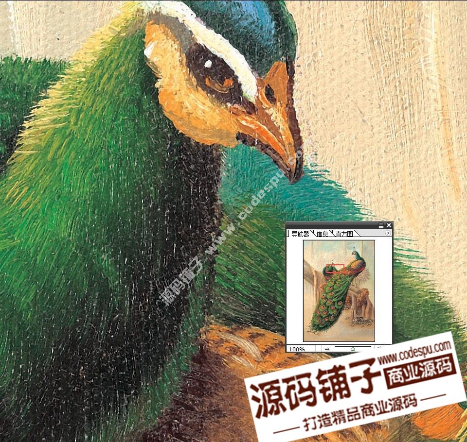 ͮȸDb΢ز ЮbôӡDƬ